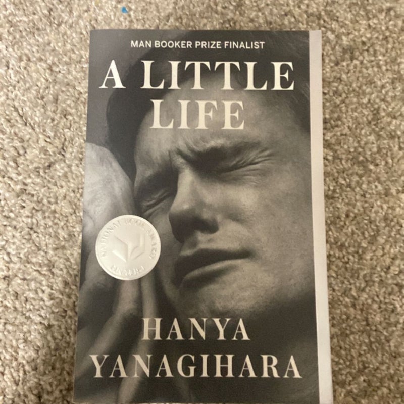 A Little Life
