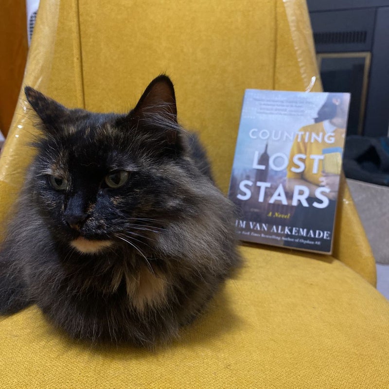 Counting Lost Stars