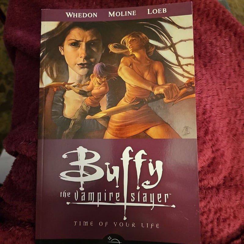 Buffy the Vampire Slayer Season 8 set. TPB. 