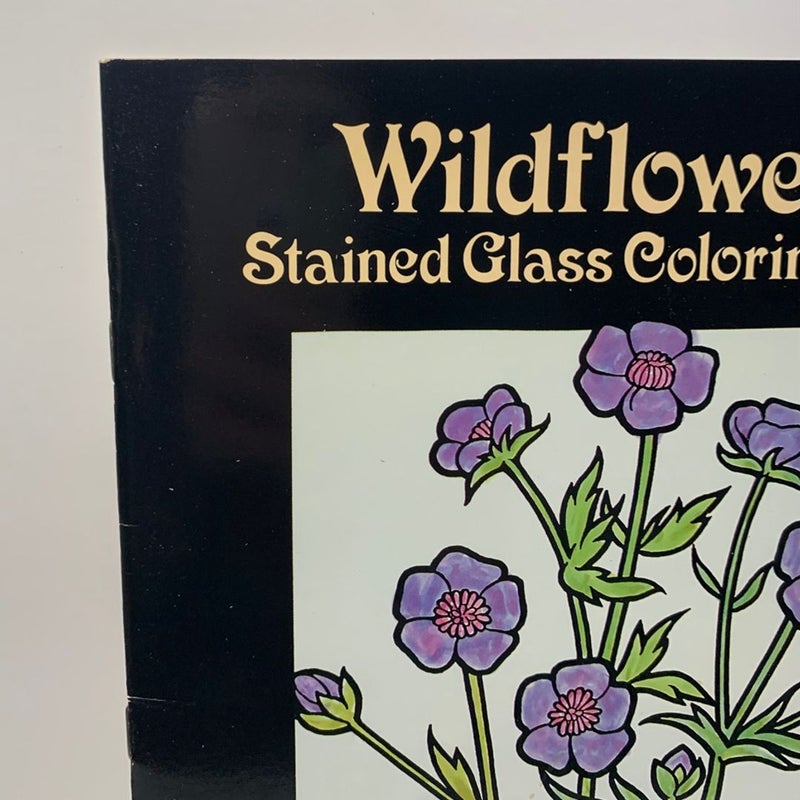 Wildflowers & Exotic Birds Vintage Stained Glass Coloring Book Lot 90s Nature