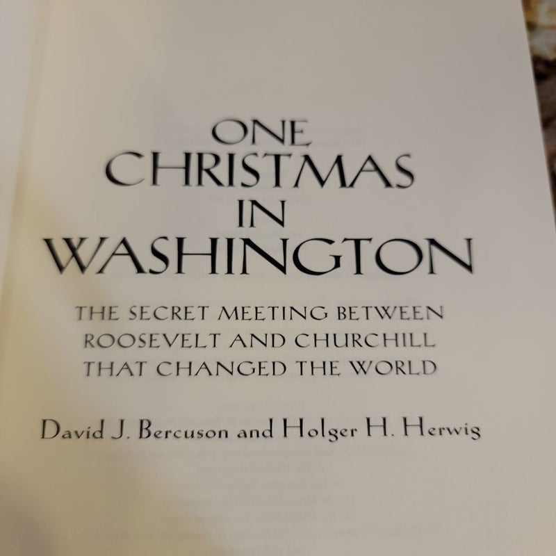 One Christmas in Washington