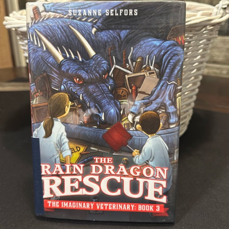 The Rain Dragon Rescue