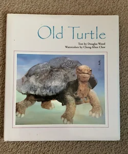The Old Turtle