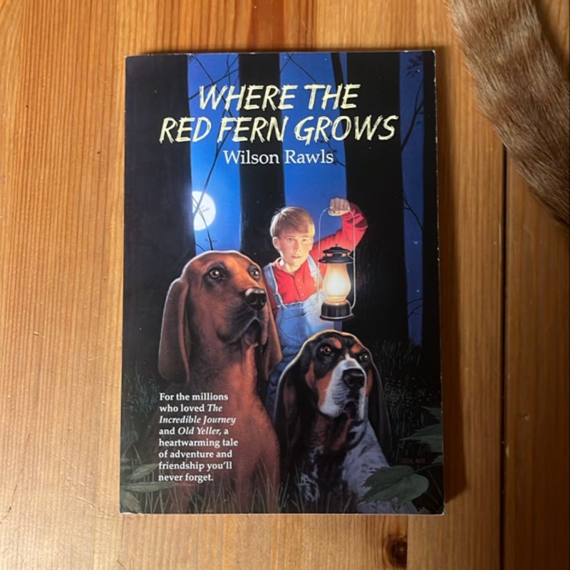 Where the Red Fern Grows