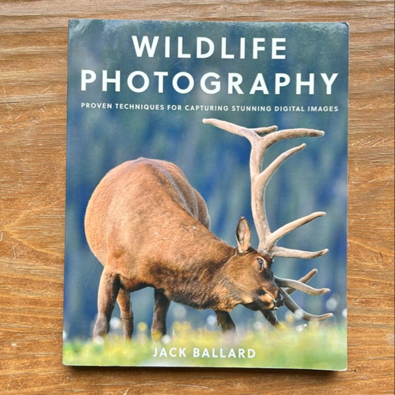 Wildlife Photography