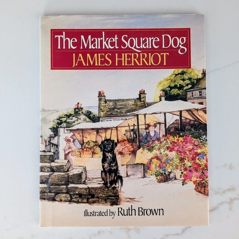 The Market Square Dog