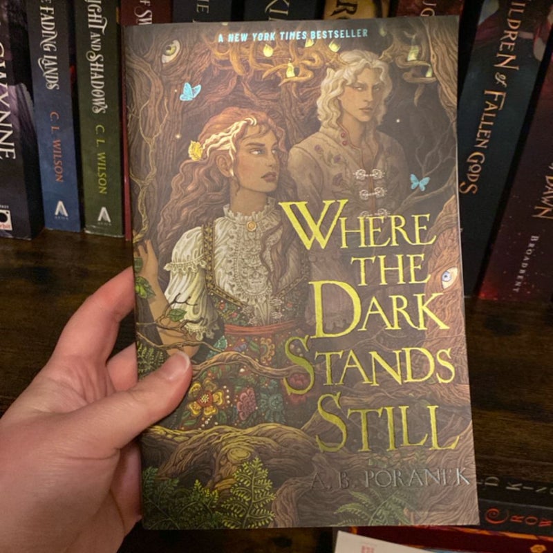 Where the Dark Stands Still