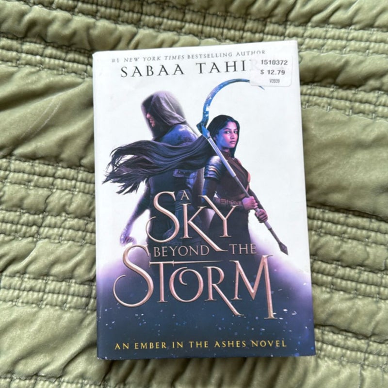 A Sky Beyond the Storm