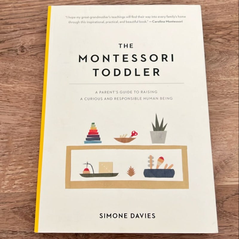 The Montessori Toddler