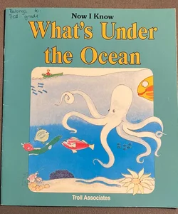 What’s Under The Ocean