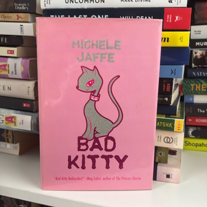 Bad Kitty