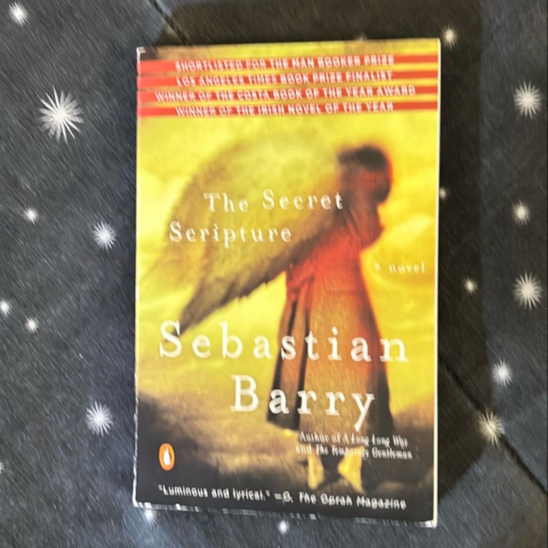 The Secret Scripture