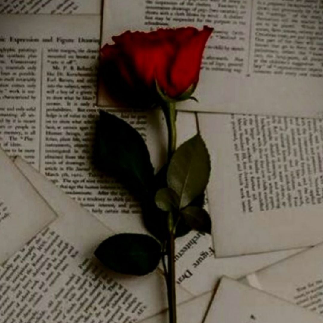 TheBookworm