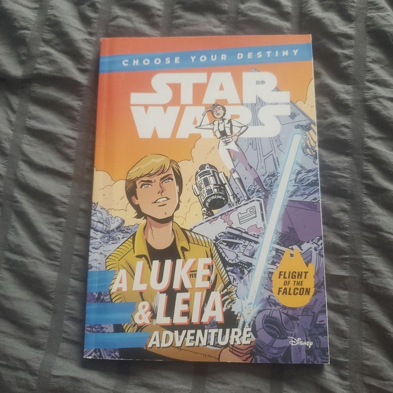 Star Wars a Luke and Leia Adventure