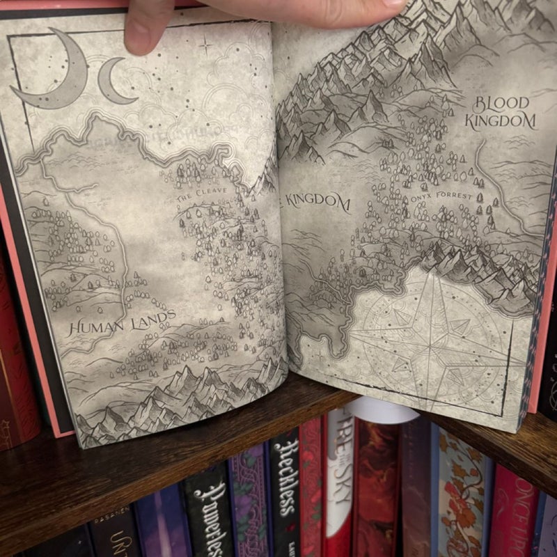 A Kingdom of Stars and Shadows Bookish Box SE *Wounded*