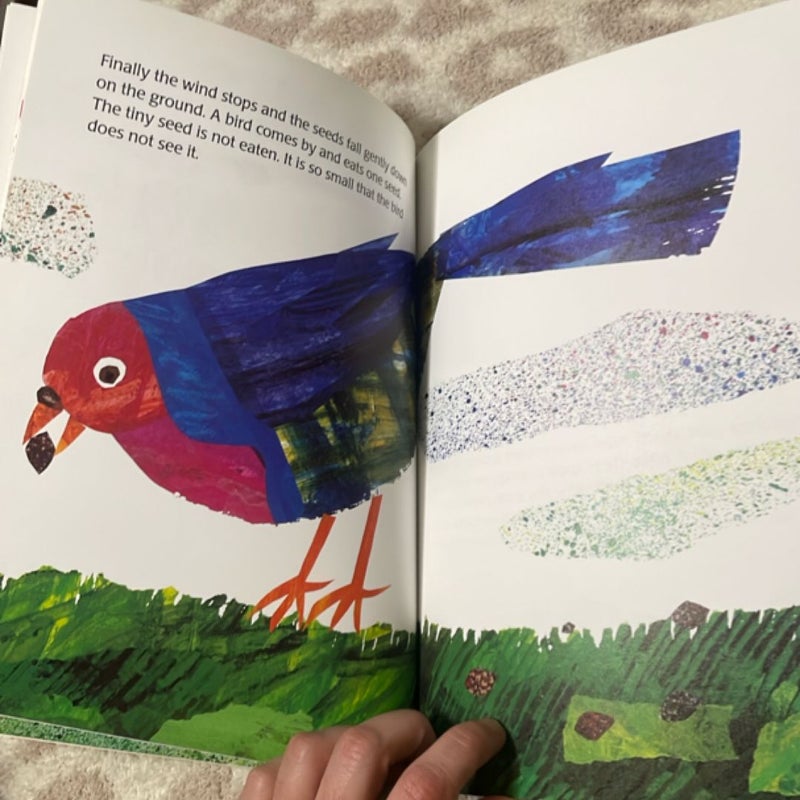 The Tiny Seed