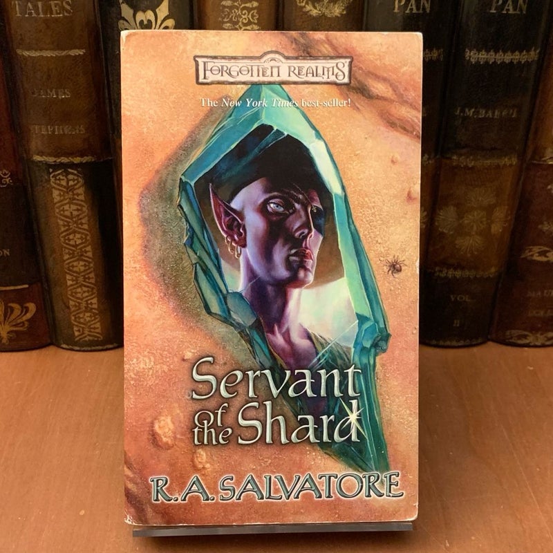 Forgotten Realms: Servant of the Shard, Legend of Drizzt, Sellswords 1