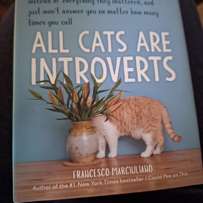 All Cats Are Introverts