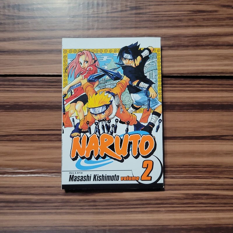 Naruto, Vol. 2