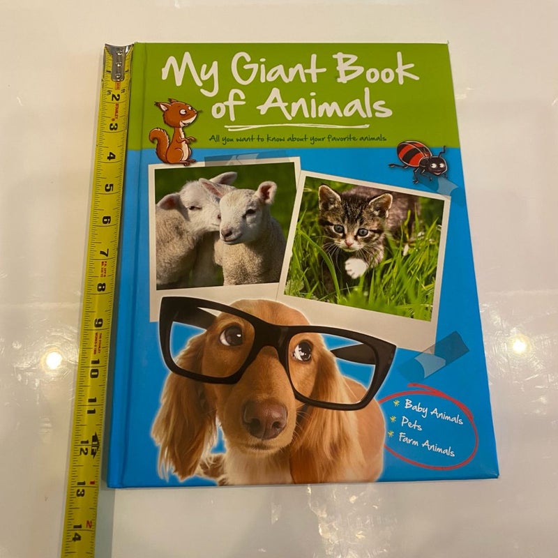 Baby Animal Books Bundle for Young Kids