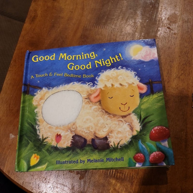 Good Morning, Good Night!-A Touch & Feel Bedtime Book