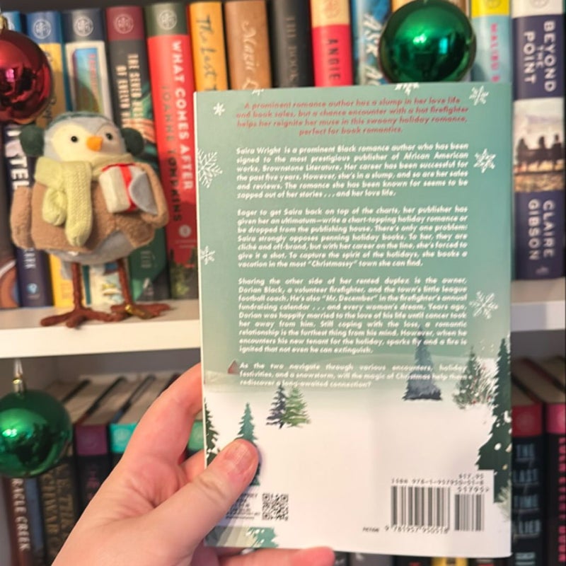 A Novel Christmas