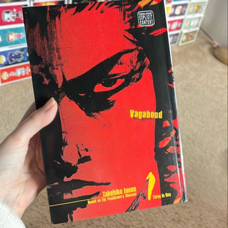 Vagabond (VIZBIG Edition), Vol. 1