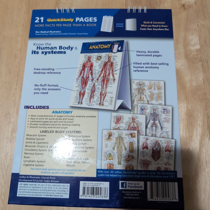 Anatomy Easel Book