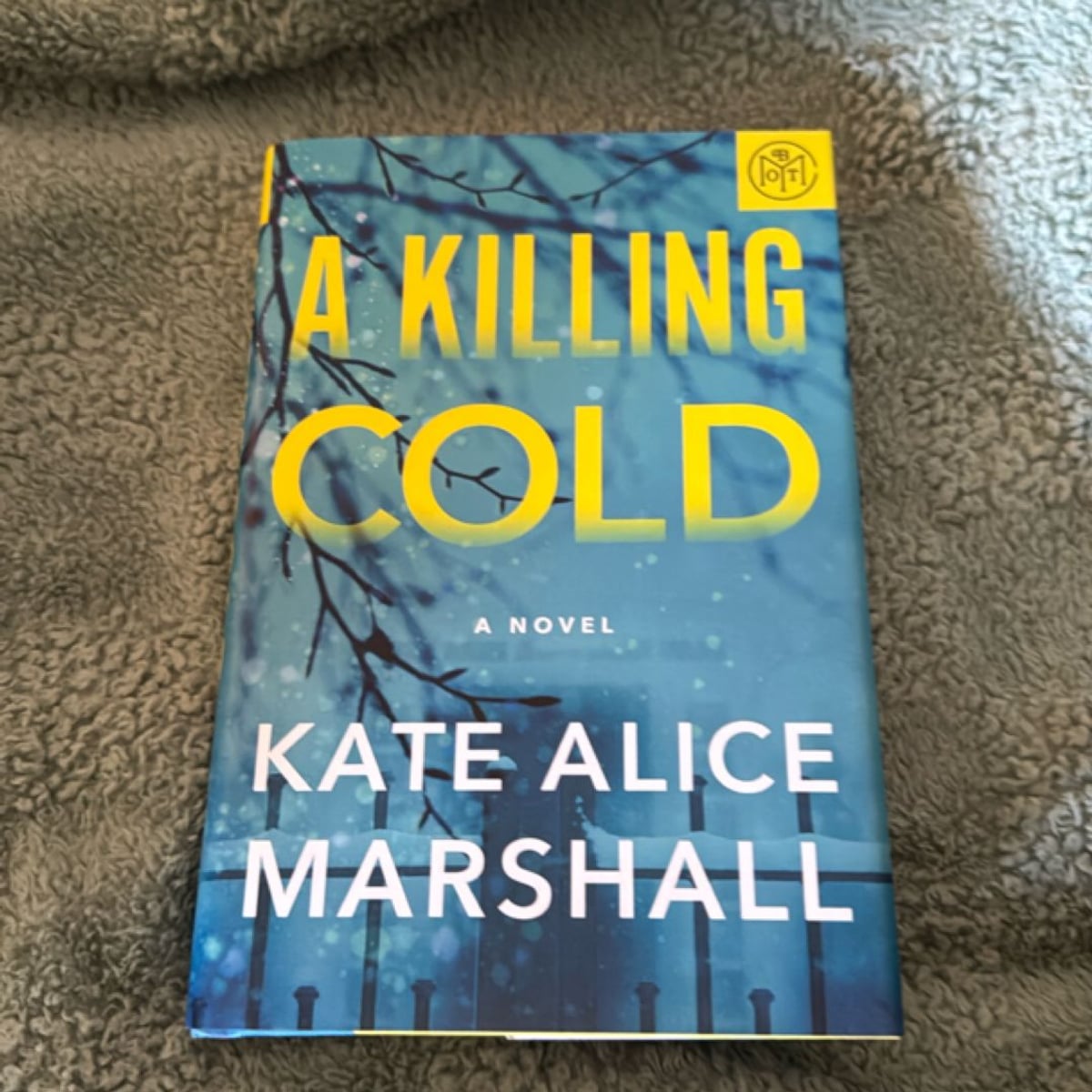 A Killing Cold by Kate Alice Marshall