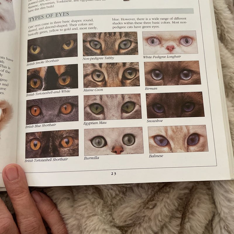 ASPCA Complete Cat Care Manual