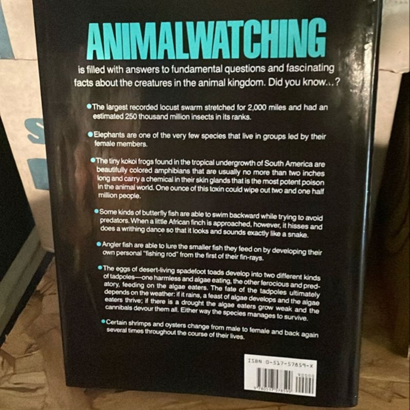 Animalwatching