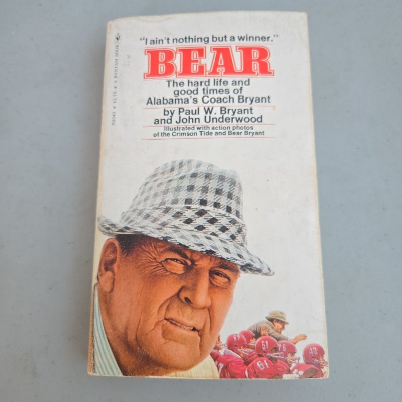 Bear