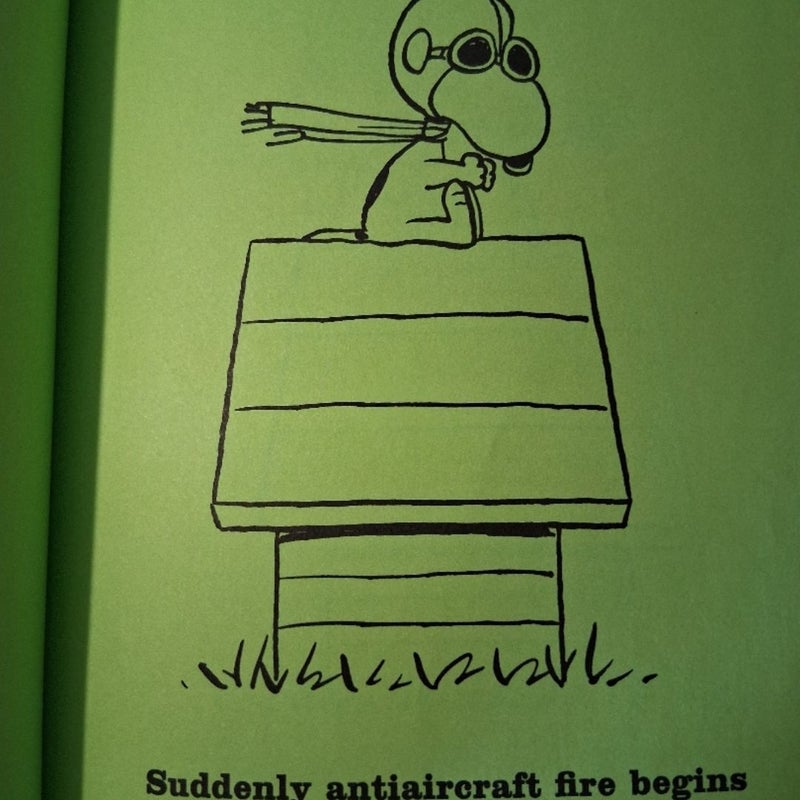 Snoopy and the Red Baron
