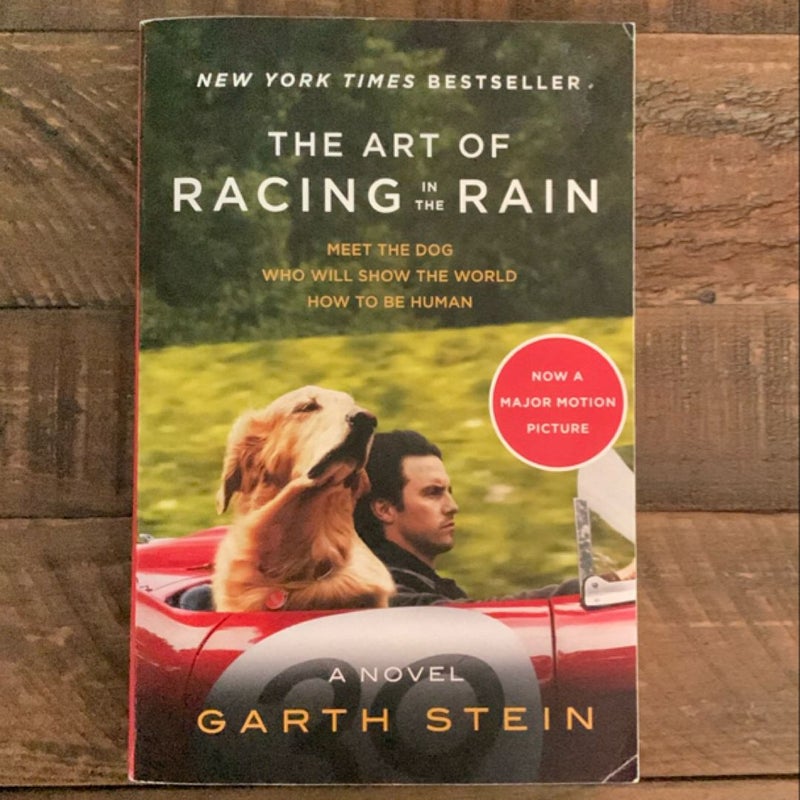 The Art of Racing in the Rain Tie-In