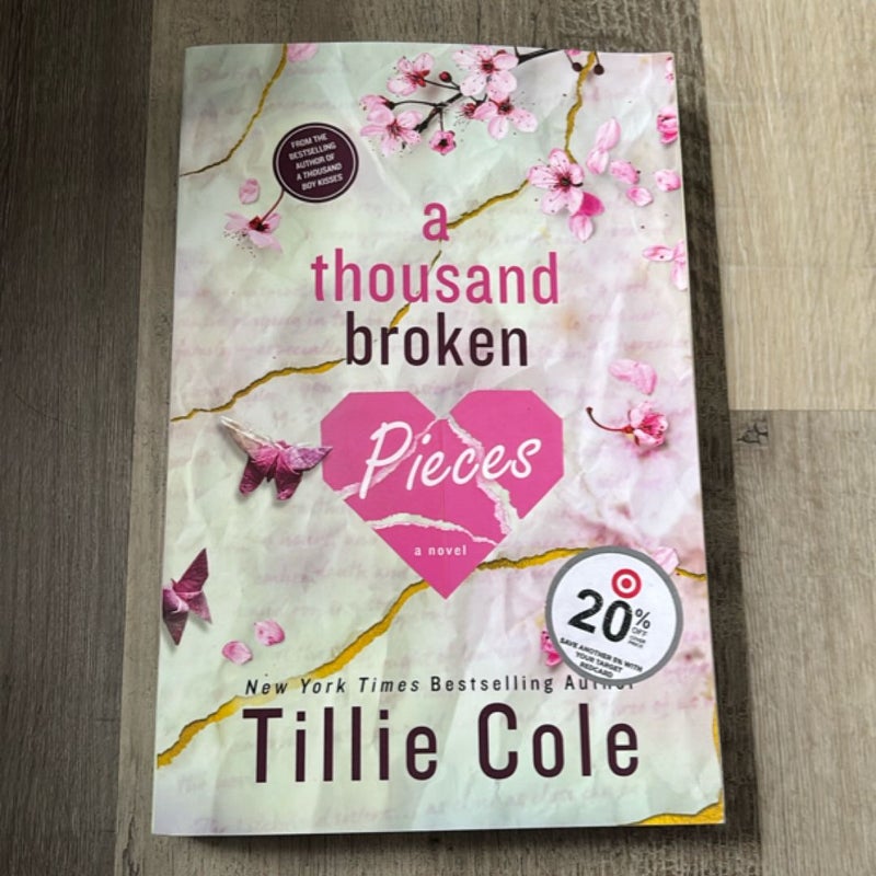 A Thousand Broken Pieces