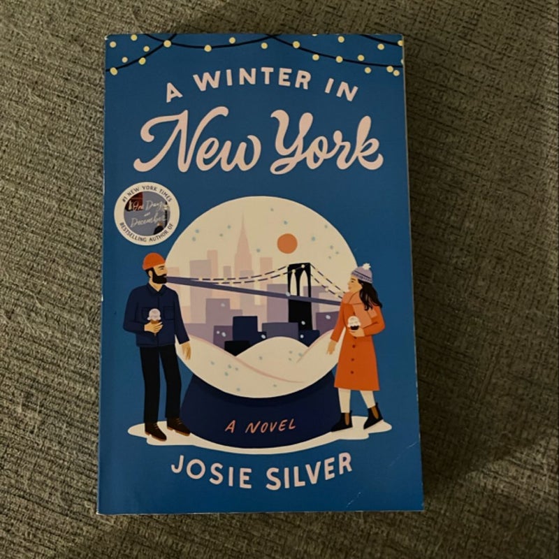A Winter in New York
