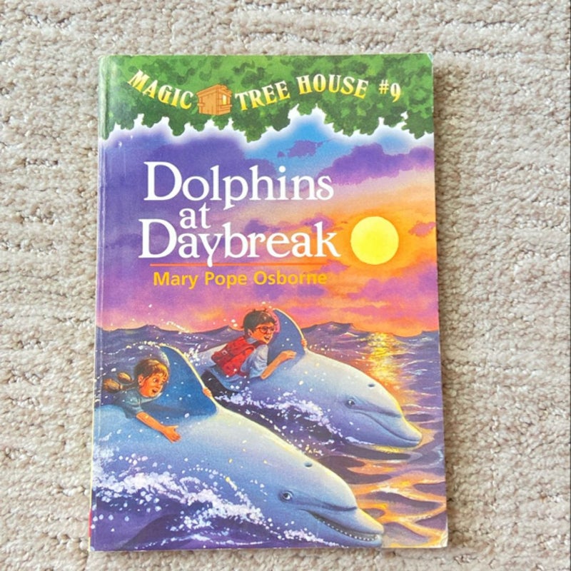 Dolphins at Daybreak