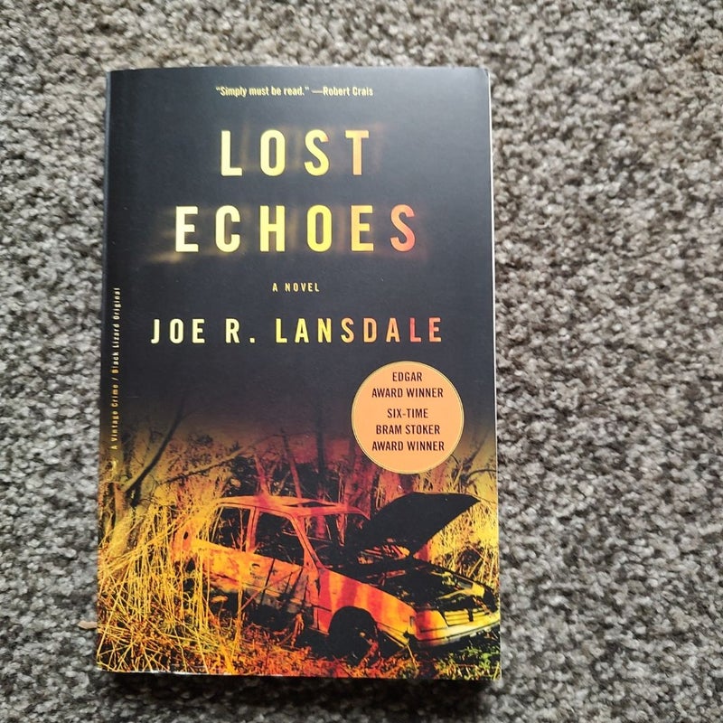 Lost Echoes