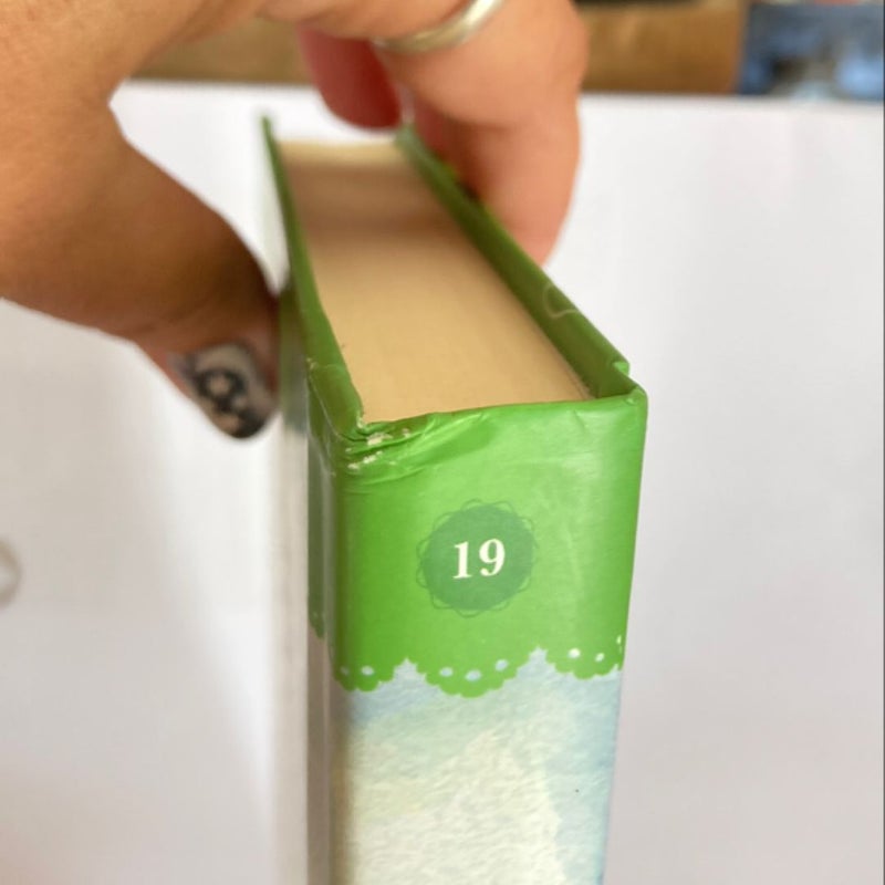 TeaRoom Mysteries by Guidepost #19 Beneath the Surface
