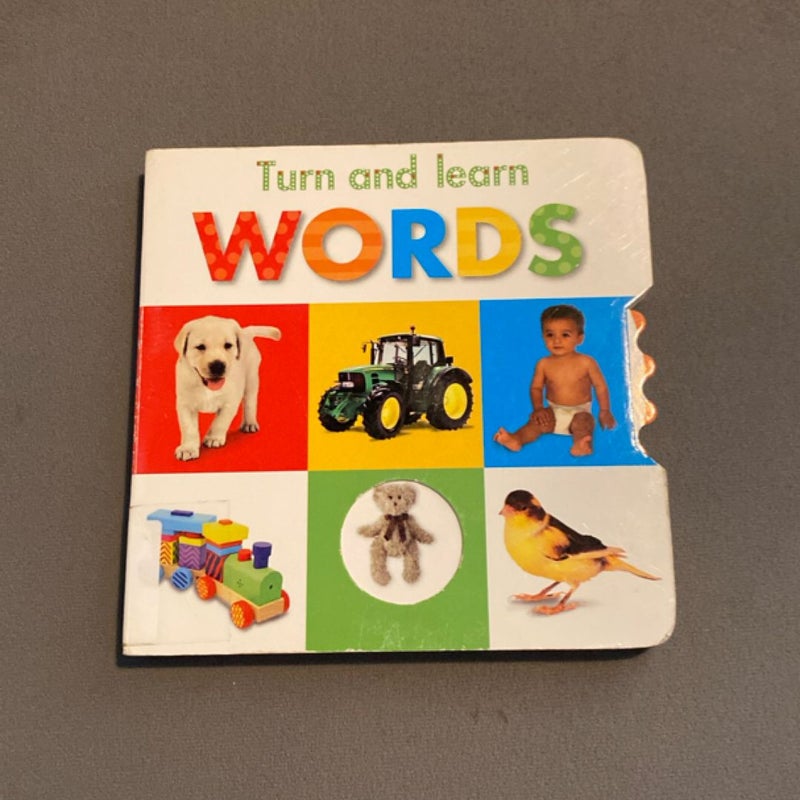 Turn and Learn: Words