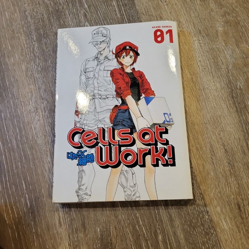 Cells at Work! 1