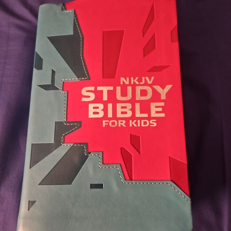 NKJV Kids Study Bible Pink Cover (Leatherbound)