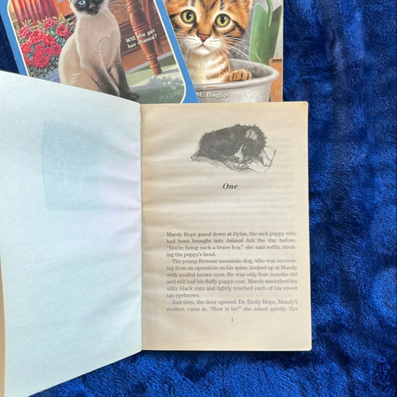 BOOK BUNDLE: Cats at the Campground, Tabby in the Tub and Siamese in the Sun