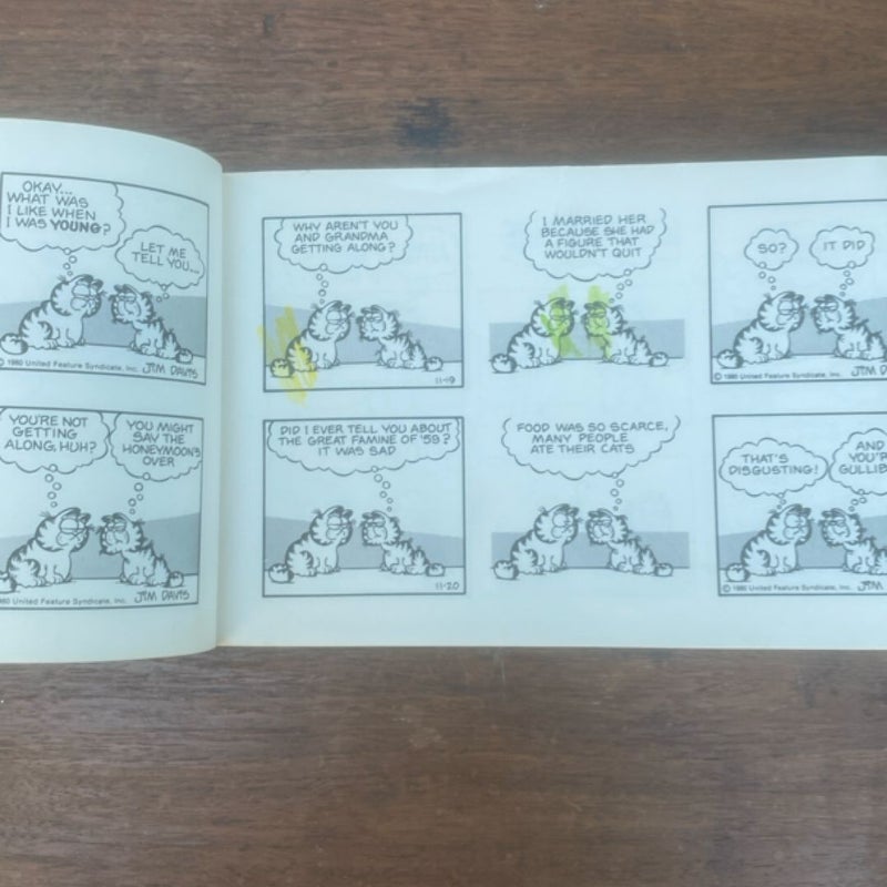Garfield takes the Cake