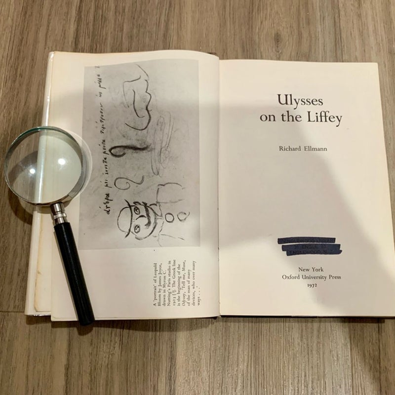 Ulysses on the Liffey