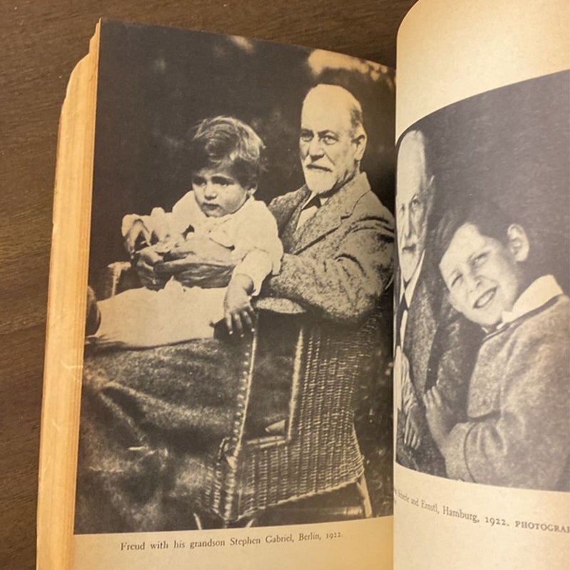 The Life and Work of Sigmund Freud by Ernest Jones (paperback) Vintage 1961-GOOD
