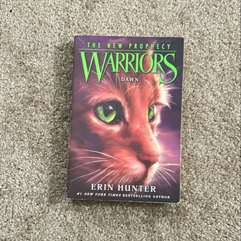 Warriors: the New Prophecy Box Set: Volumes 1 To 6