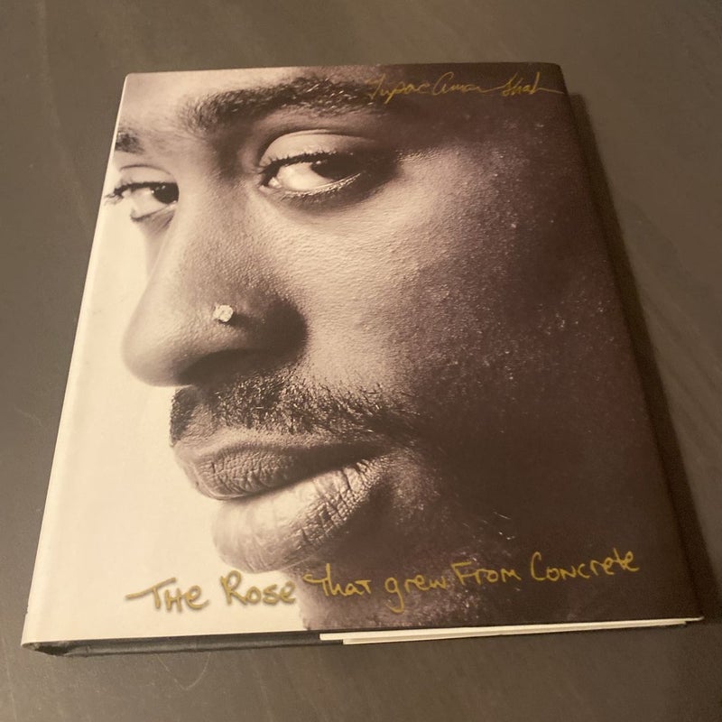 The Rose That Grew from Concrete