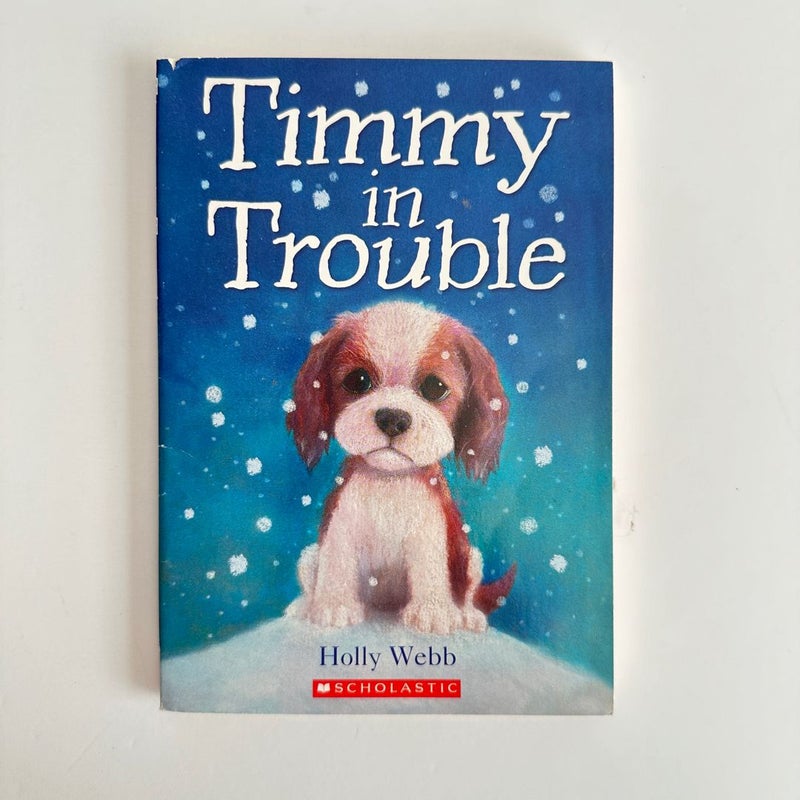 Timmy in Trouble