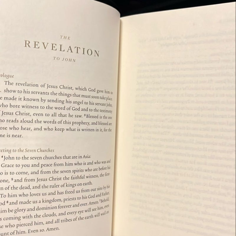 ESV Illuminated Scripture Journal: Revelation